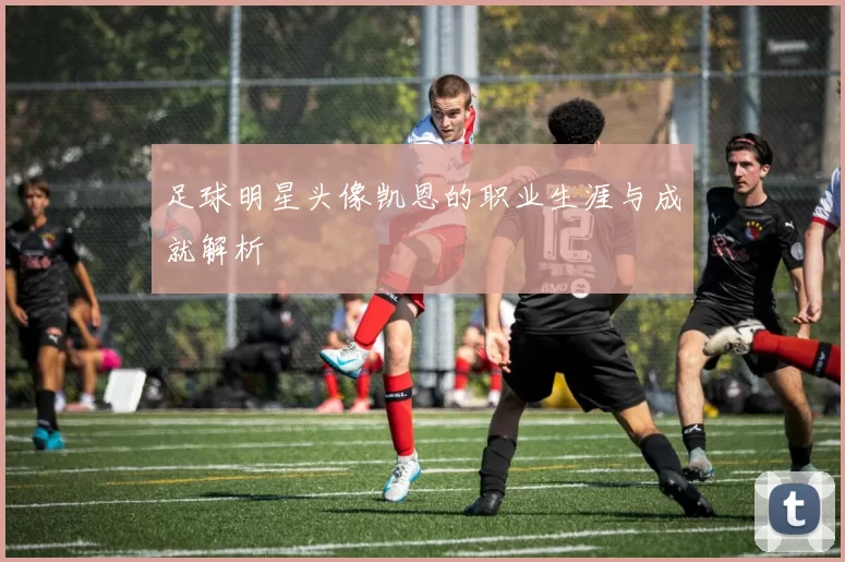 足球明星头像凯恩的职业生涯与成就解析