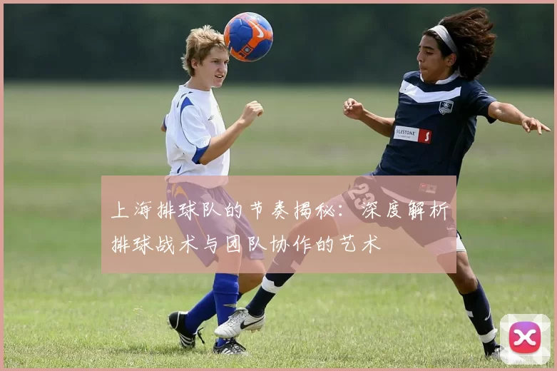 上海排球队的节奏揭秘：深度解析排球战术与团队协作的艺术