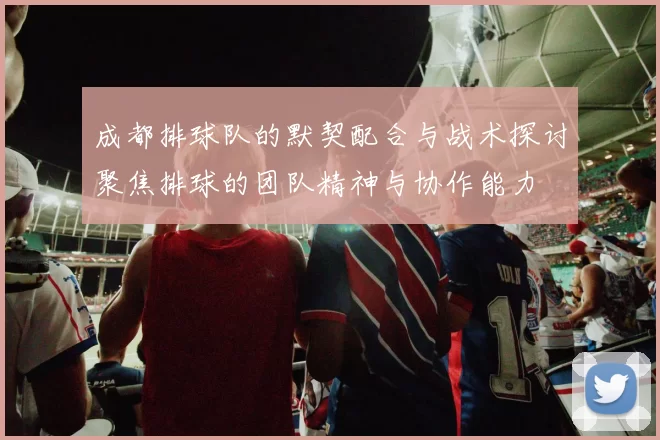 成都排球队的默契配合与战术探讨聚焦排球的团队精神与协作能力