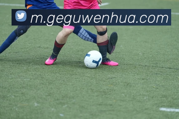 9游会j9官网登录入口APP 封面图